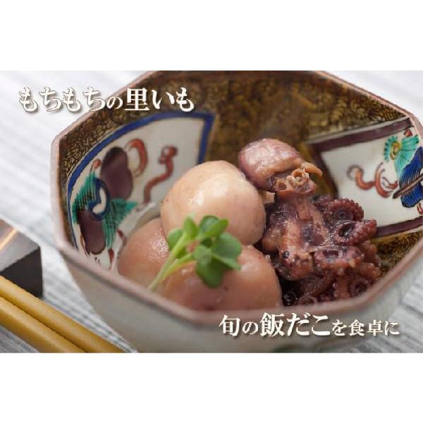 惣菜缶詰 金沢ふくら屋　味の匠A　缶詰１５缶セット　（賞味期限３年） 保存食・非常食・手土産に