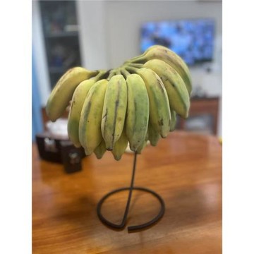 桌面掛手工藝飾品架子立式鐵藝置物架掛石頭香蕉掛架微景觀瓶吊架