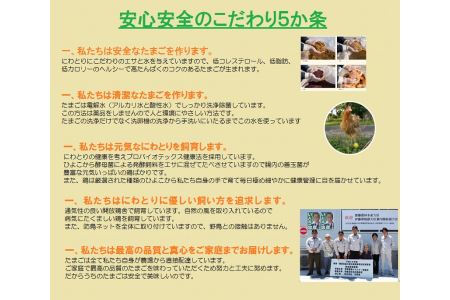 日本三大地鶏!! 「純系 名古屋コーチンの卵」（30個）　本当に美味しい食べ物は調味料の味に負けません！