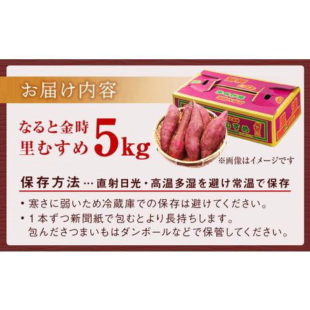 ふるさと納税 なると金時（里むすめ）5kg さつまいも 鳴門金時 箱入り サツマイモ 人気 ホクホク さつまいも 鳴門金時 なると金時 さつまいも 徳島県鳴門市