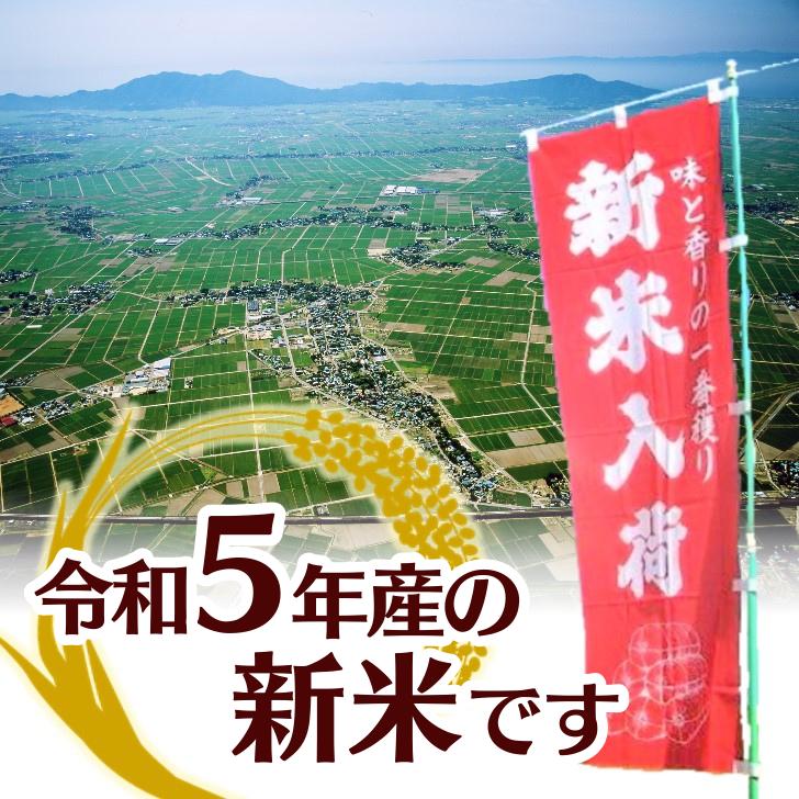 新米 5年産 新潟産 こしいぶき 10kg 5kg×2袋 受注精米 お歳暮 冷めてもおいしい 新潟県産 米 白米 精米 減農薬 農家 直送 生産者 備蓄 ギフト 内祝