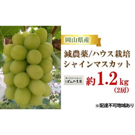 ふるさと納税 ぶどう 2024年 先行予約 シャイン マスカット 約1.2kg 2房 減農薬／ハウス栽培 ブドウ 葡萄  岡山県産 国産 フルーツ 果物 ギフト .. 岡山県里庄町