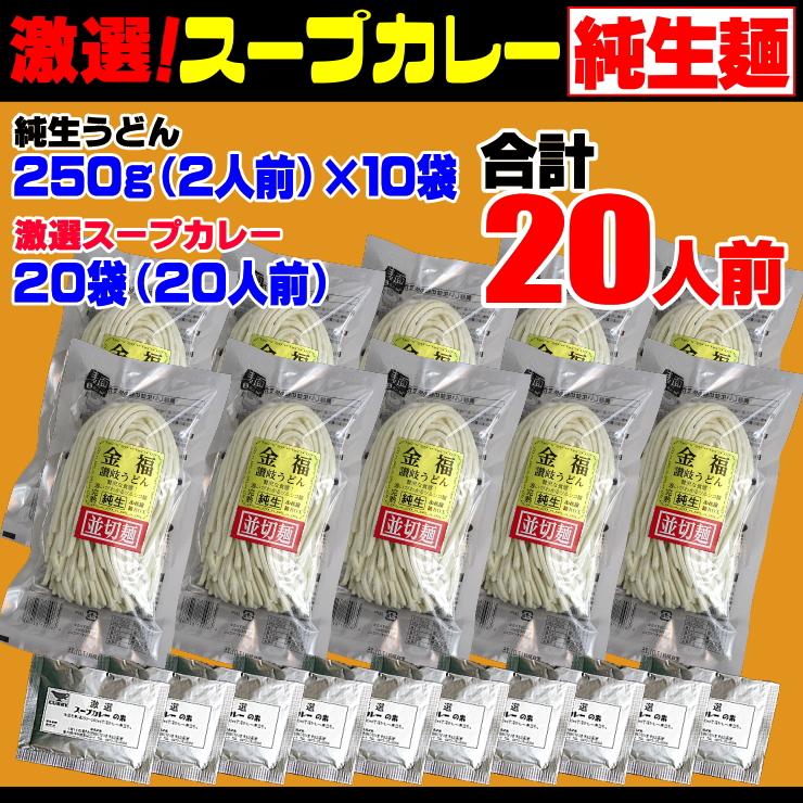 送料無料 うどん 激選スープカレーうどん20人前セット