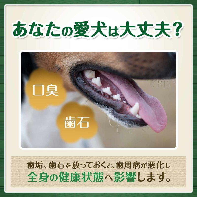 グリニーズ プラス エイジングケア 30本 × 3個 小型犬用 体重7-11kg Greenies ドッグフード 犬用 おやつ 歯磨き ガム アレルギー 口臭予防 正規品