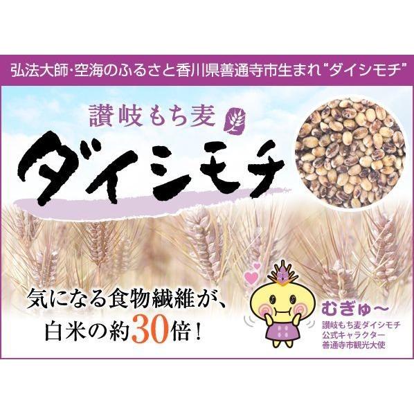 讃岐もち麦ダイシモチ 500g×6個セット まんでがん