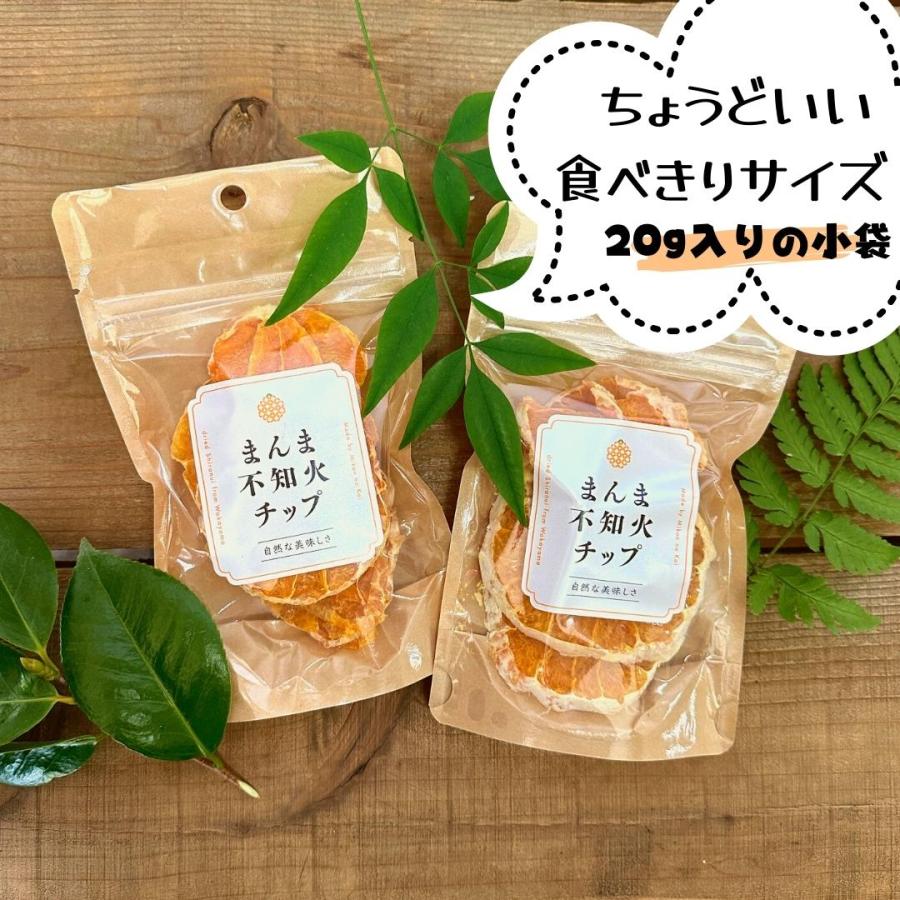 まんま不知火(しらぬい)チップ 100g(20ｇ×5袋) ドライフルーツ 和歌山県産 