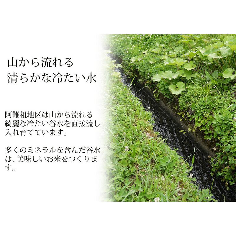 新米 米 コシヒカリ 10kg 5kg×2袋 福井県大野阿難祖産 白米 送料無料 令和5年産