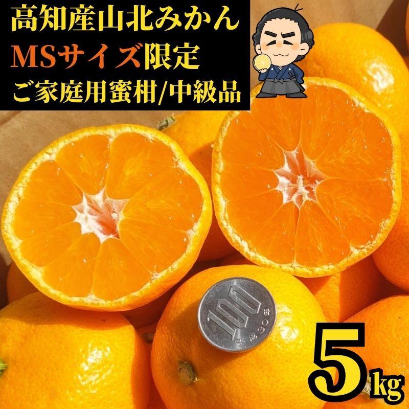 山北みかん　MSサイズ限定5kg みかん蜜柑 中級品　高知産