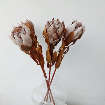 復古干質南非帝王花仿真花插花軟裝花藝設計家居飾品櫥窗擺件攝影