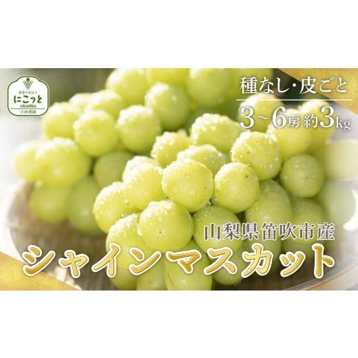 ふるさと納税 山梨県 笛吹市 ＜2024年先行予約＞シャインマスカット 3〜6房 約3.0kg ※沖縄県・離島は発送不可 097-014