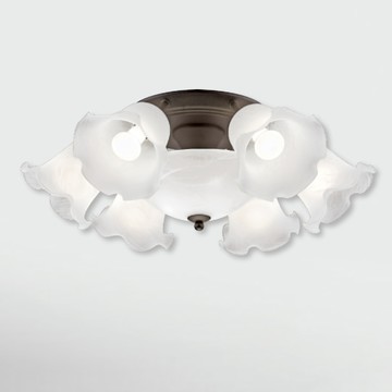 台灣玻璃造型半吸頂燈 F37-21-92301