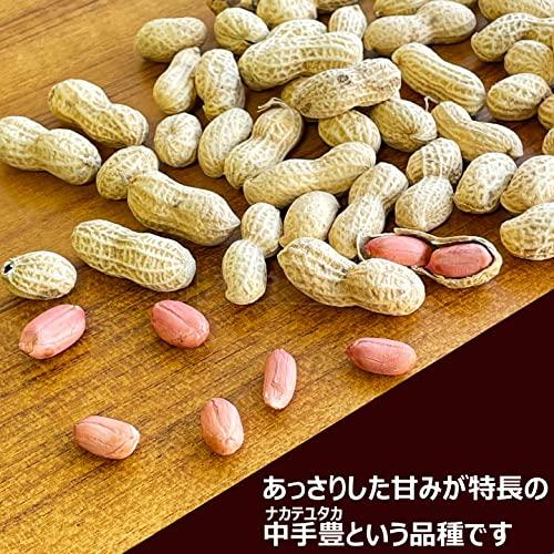 千葉県産 からつき 落花生 国産 400g 中手豊 ナカテユタカ 八街 やちまた ピーナッツ ピーナツ