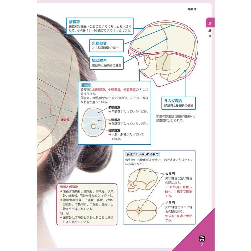 かんテキ 脳神経 患者がみえる新しい 病気の教科書