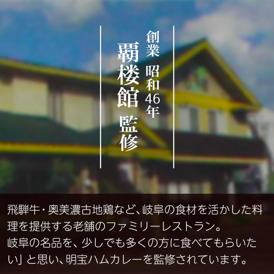 覇楼館 監修 明宝ハムカレー［中辛］（1人前） カレー 明宝ハム 明宝トマトケチャップ 明宝 (ポスト投函-1)