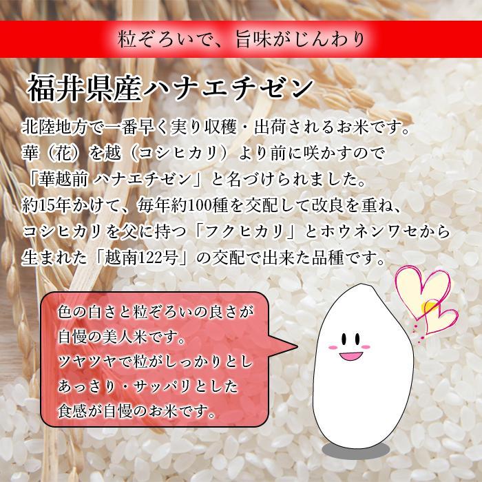 ハナエチゼン 米 20kg 令和4年産 福井県産 米 お米 白米 おこめ 華越前 精米 単一原料米 ブランド米 20キロ 送料無料 国内産 国産