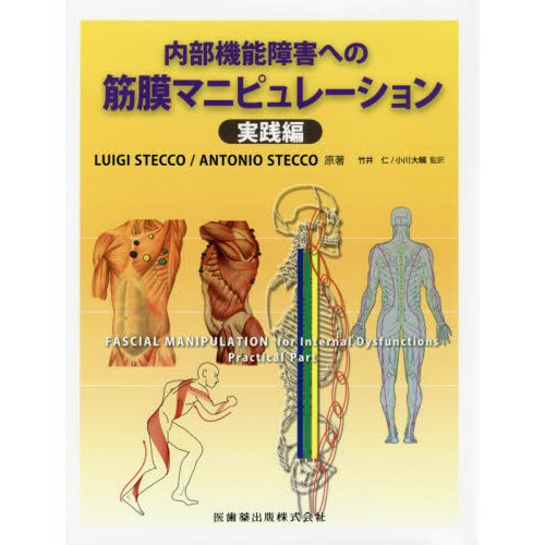 内部機能障害への筋膜マニピュレーション 実践編