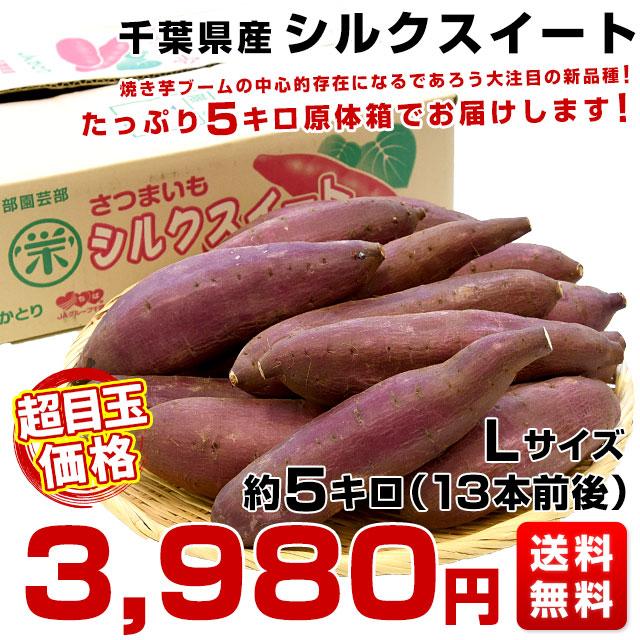 千葉県産 JAかとり シルクスイート Lサイズ5キロ 13本前後 送料無料 さつまいも サツマイモ 薩摩芋 新芋 市場発送