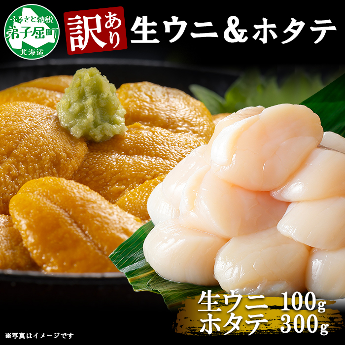 1261. 訳あり うに チリ産 冷凍 ほたて ウニ 100g 帆立 300g 雲丹 不揃い わけ あり 海鮮 丼 海鮮丼 刺身 うに丼 送料無料 北海道 弟子屈町