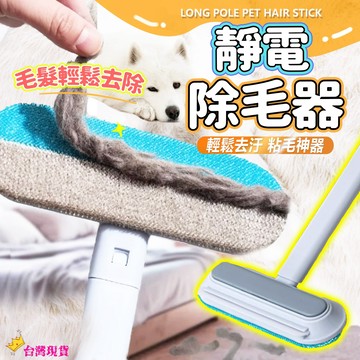 『快速發貨 滿額免運』寵物除毛神器 寵物除毛器 黏毛器 貓毛清理器 除毛清潔刷 除毛刷 寵物清理器 寵物除貓毛 去除浮毛