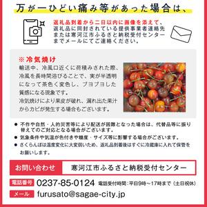 ふるさと納税 令和6年産 山形の さくらんぼ 「佐藤錦」 1kg（500g×2）秀品 L以上 山形産 2024年産【2024年6月中旬頃〜6月下.. 山形県寒河江市