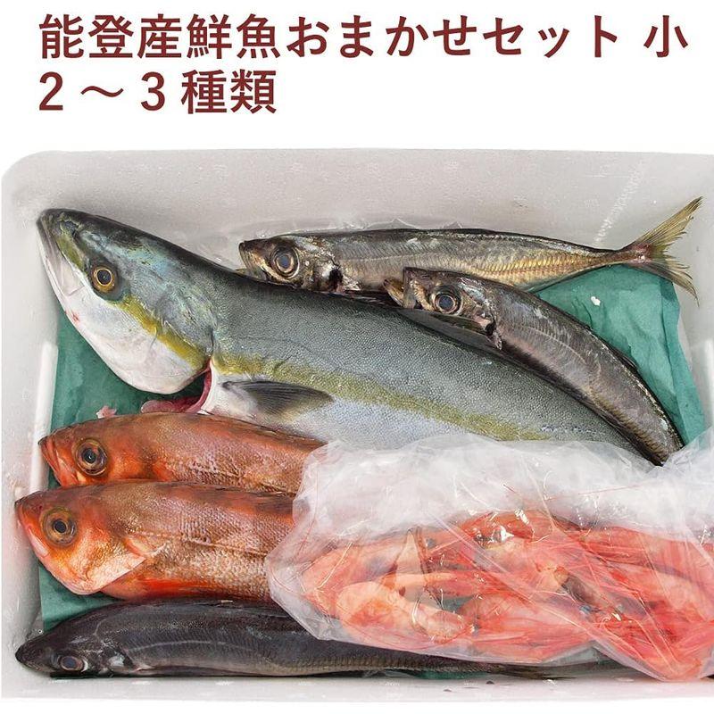 能西水産 能登産鮮魚おまかせセット 小 2?3種類