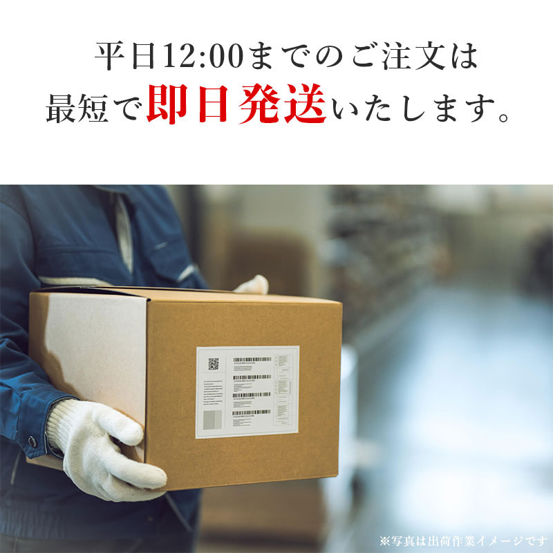 カレンダー 2024年 壁掛け 龍六題 NK151 2024年版 カレンダー シンプル おしゃれ きれい 干支 龍 竜 辰年 ドラゴン dragon 十二支 237991