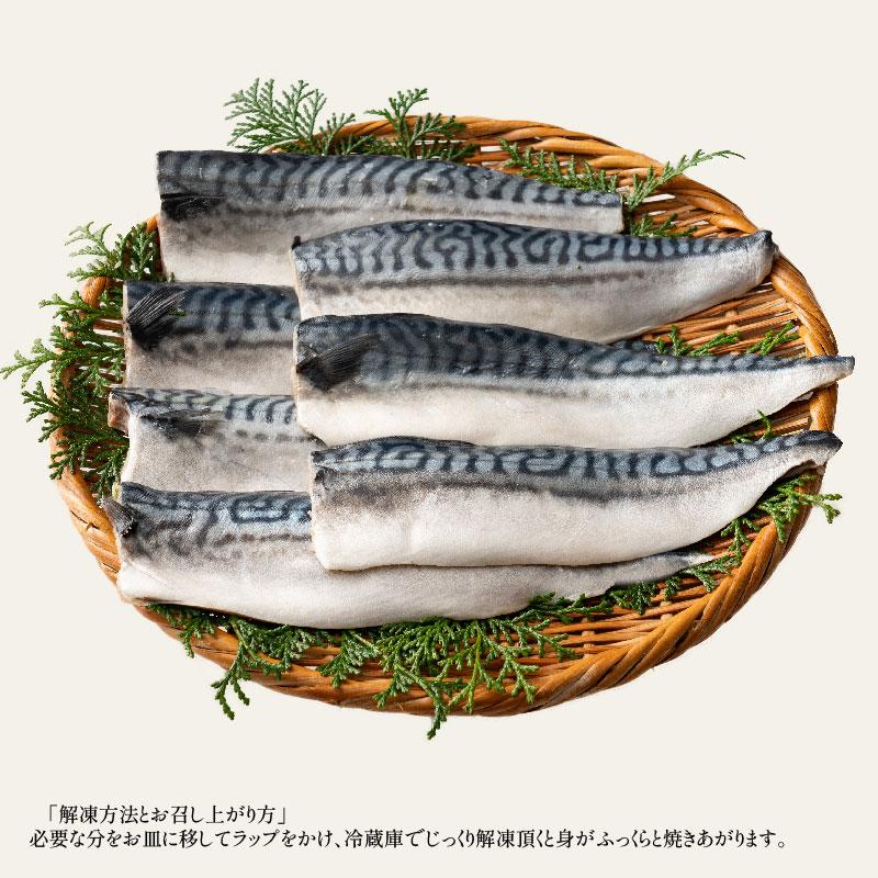  さば 無添加 無塩 トロさば サバ 鯖 約1kg(6〜8尾）トロ鯖 海鮮 天然 魚 魚介 海産物 おかず おつまみ 冬グルメ 冬ギフト