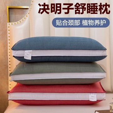 枕頭夏季單人男決明子枕芯一對裝家用雙人枕頭全棉護頸椎枕助睡眠