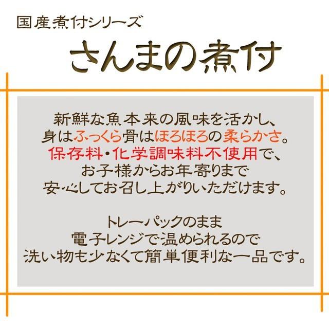 魚 国産 さんまの煮付 120g×５パック 箱 保存料・化学調味料不使用