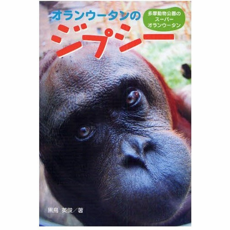 オランウータンのジプシー 多摩動物公園のスーパーオランウータン 通販 Lineポイント最大0 5 Get Lineショッピング