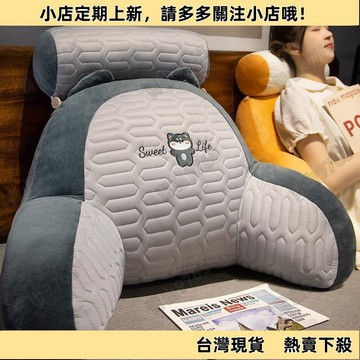 【新上架】冰絲靠枕 床头靠垫 护腰 生日禮物男生 靠墊 靠背枕 背靠枕 靠腰墊 床頭靠枕 靠腰枕 護腰靠墊 背靠墊 沙發