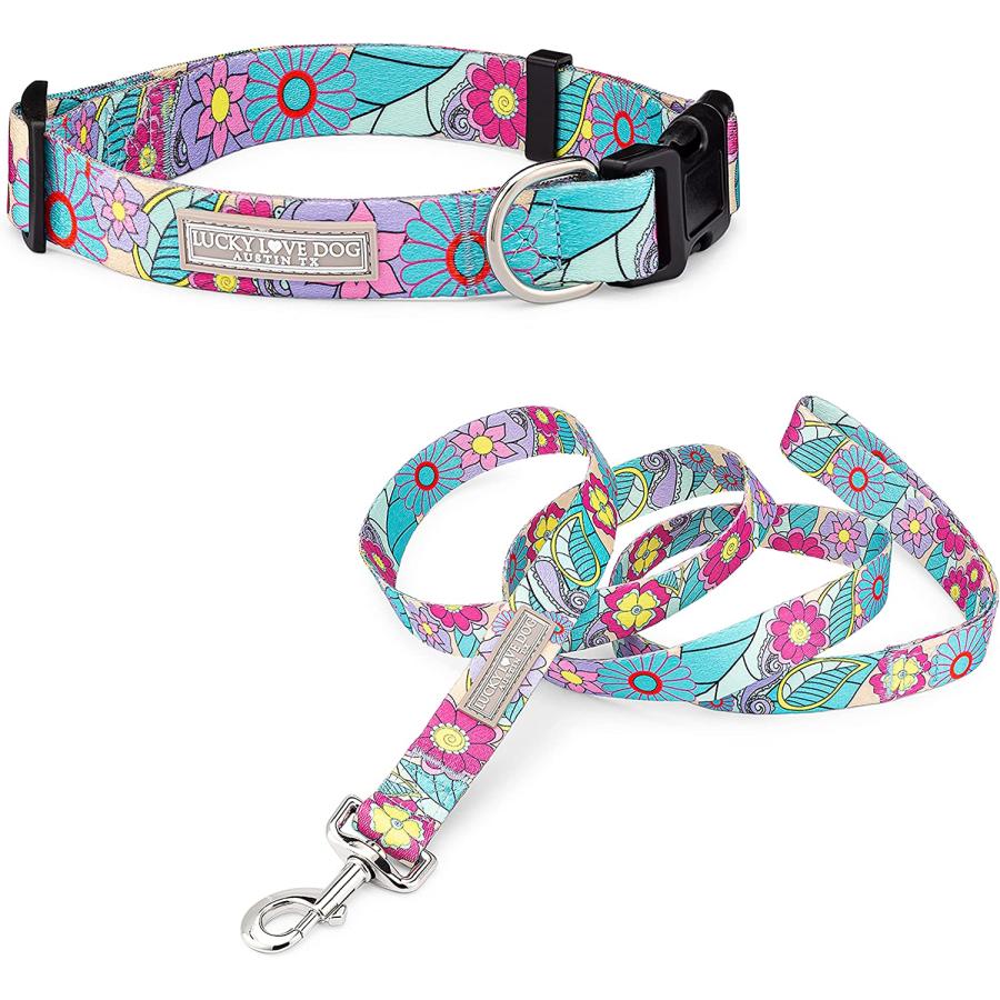 Cute store girl collars