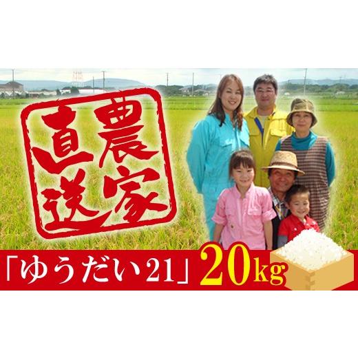 ふるさと納税 千葉県 富津市 令和5年 富津産「ゆうだい21」20kg（精米）