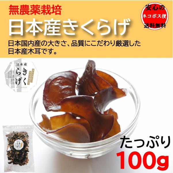 木耳 国産 日本産乾燥きくらげ 100g×2袋 完全無農薬栽培 木耳 乾物 スープ 炒め物 宅配便送料無料