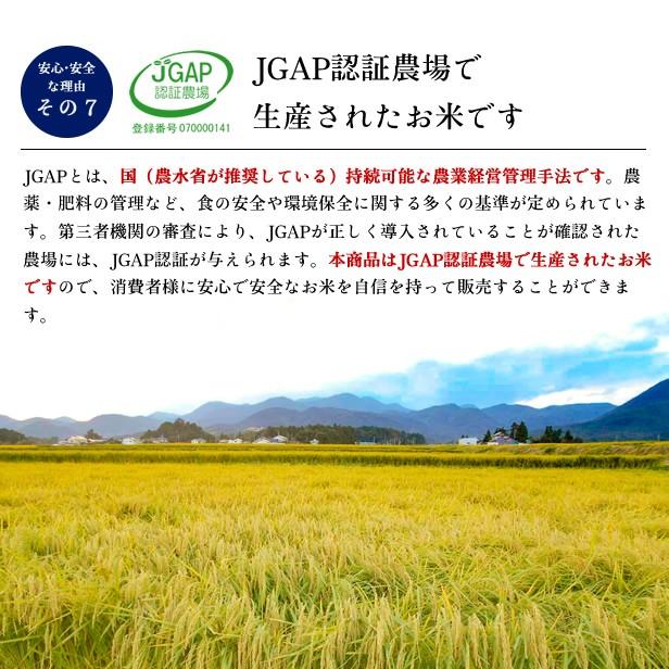 新米 令和5年産 福島県 中通産 ひとめぼれ 精白米 25kg (5kg×5袋) 小分け JGAP