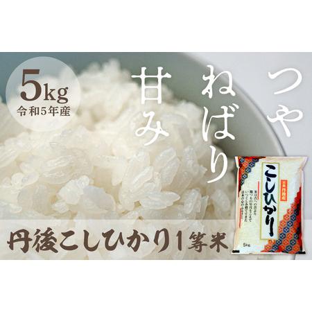 ふるさと納税 令和5年産 新米 1等米 丹後こしひかり 5kg ＜上白精米 こしひかり＞ 京都府京丹後市