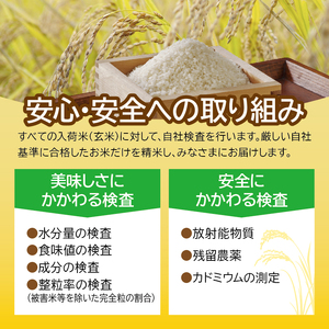 米 10kg 令和4年産 宮城県産 ひとめぼれ 5kg×2袋 精米 アイリスオーヤマ こめ コメ ご飯 ごはん ブランド米 一等米 美味しい おいしい 2022年度産