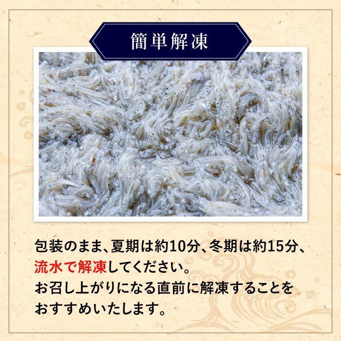 静岡県産 生しらす1kg（100g×10） しらす シラス 生シラス 冷凍 用宗港 駿河湾 静岡 静岡県 生しらす丼 メガ盛り 業務用