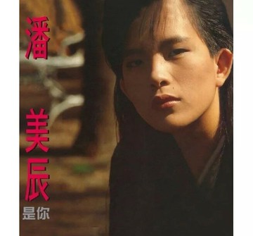 【停看聽音響唱片】【黑膠LP】潘美辰：是你