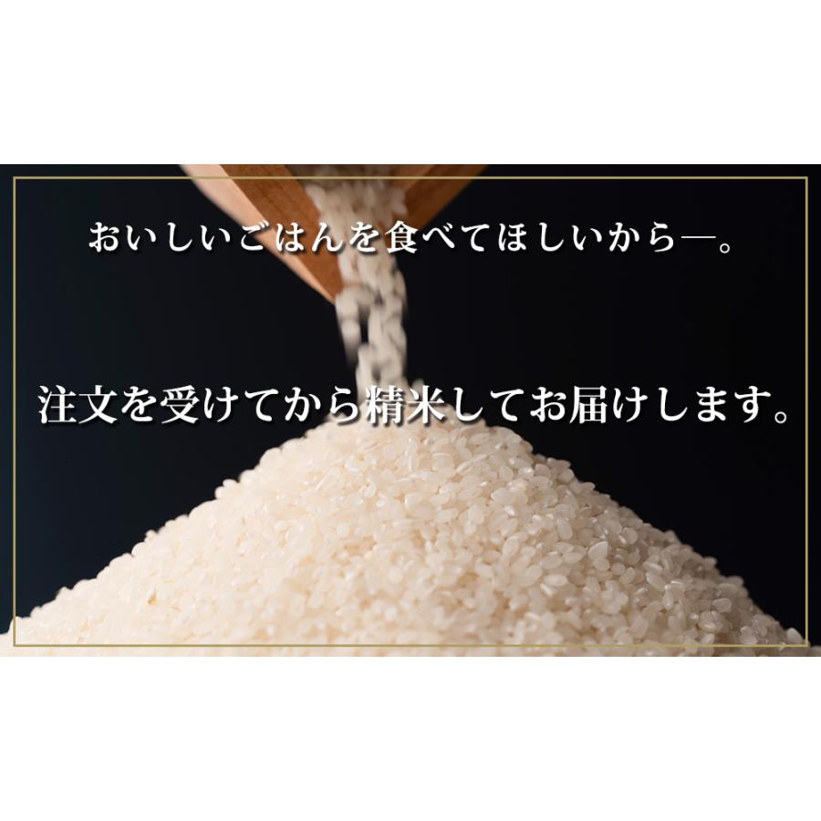 新米 令和5年産 つや姫 5kg 精白米 安い ブランド米 米 2023年産