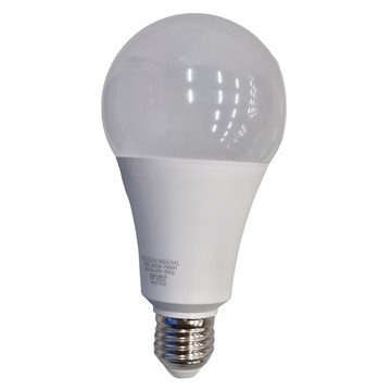 TATUNG 大同 LED燈泡 20W  晝光色  1個