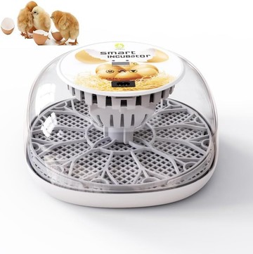 Asafego 自動孵蛋器 自動轉蛋 大容量 12顆雞蛋 自動供水 SG-HH-J-12egg 日本代購