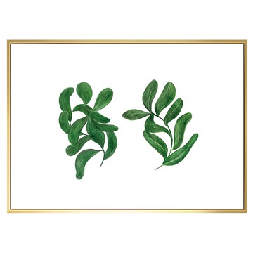 BOLUO GALLERY 菠蘿選畫所 植栽生活 扭扭葉 BFWP4608G 掛畫  59.4 x 42cm  金色
