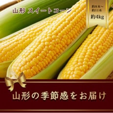 山形県産  スイートコーン 約8本～約11本 約4kg 