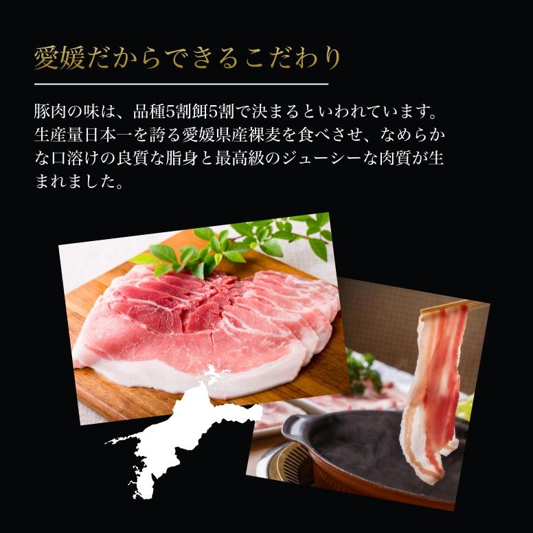 豚肉 しゃぶしゃぶ 愛媛 甘とろ豚 ギフト 肩ロース しゃぶしゃぶ用（500g） 送料別途 取り寄せ 贈答 贈答品 ギフト