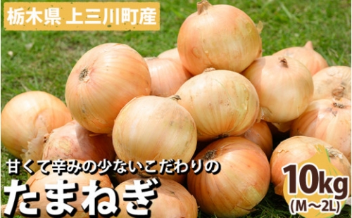 栃木県産 たまねぎ 10kg※2024年5月より順次発送予定※離島への配送不可※着日指定不可