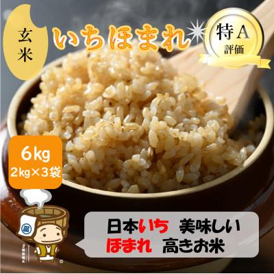 ふるさと納税 あわら市 いちほまれ 玄米 2kg×3袋(計6kg)《新鮮な高品質