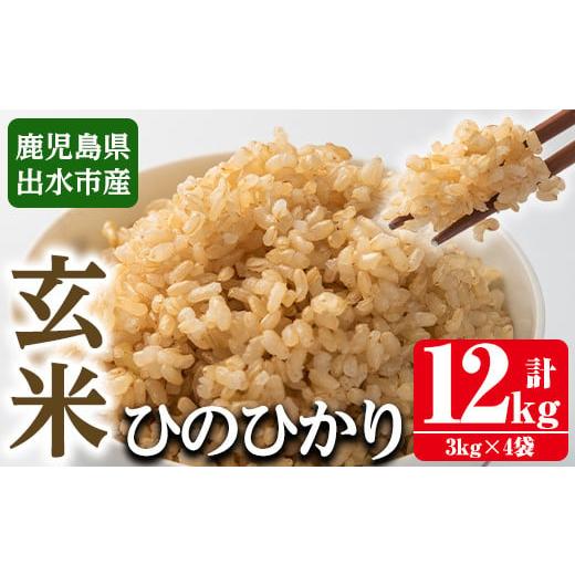 ふるさと納税 鹿児島県 出水市 i503 ＜2023年11月上旬から順次発送＞令和5年産！鹿児島県出水市産ひのひかり玄米＜3kg×4袋・計12kg＞