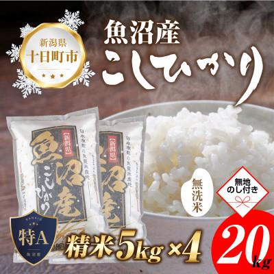 ふるさと納税 十日町市 無洗米 魚沼産 コシヒカリ 20kg 美味い炊き方ガイド付