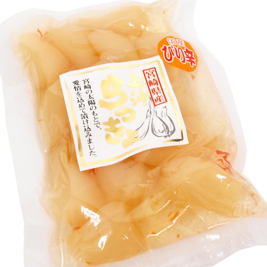 上沖産業 宮崎県産ぴり辛らっきょう 100g 5パック 送料込